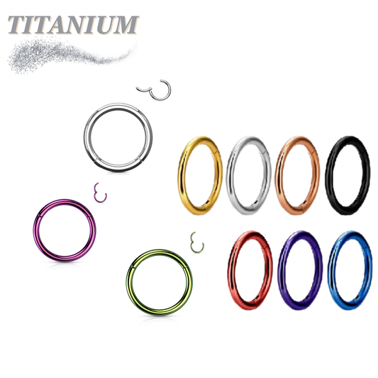 Titanium Colored Hinged Rings 20G and 18G