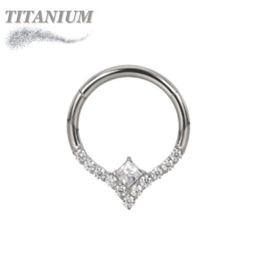 Titanium Hinged Ring with Centre Front Facing CZ Design